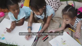 Multszenzoros tanulás bevezető