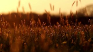 Kedvenc helyem - tudatos jelenlét gyakorlata